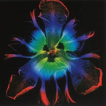 Amazon Music UnlimitedでPIERROTを聴く