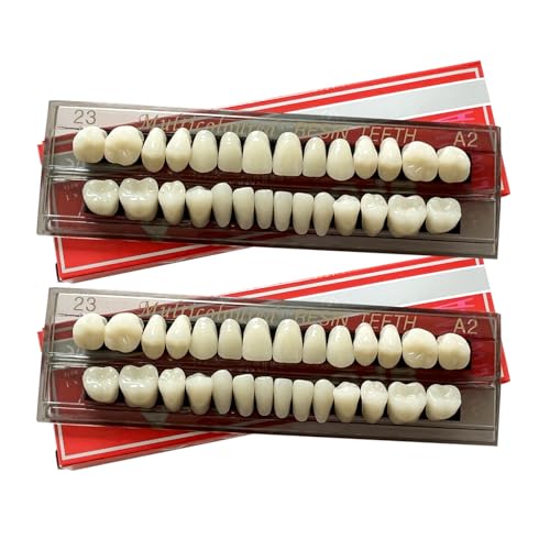 2 juegos/56 piezas falsos dientes postizos dentales completos de resina acrílica dentadura dentadura dental, dientes superiores e inferiores de la mandíbula para sustitución, fiesta de Halloween