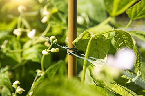 Windhager Rankdraht Pflanzendraht Blumendraht Kletterhilfe Rankhilfe Wickeldraht, guter Halt für Pflanzen, plastifiziert, grün, 50 m