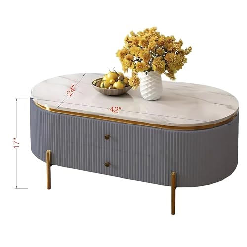 Image of Tesla Centre Table, White Marble Top with Gold Trim, Oval Modern Coffee Table with 2 Drawer Storage, Waterproof Plywood Base, PVD Metal Legs, for Living Room (Grey)