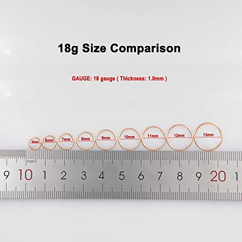 Image of FANSING Men Women 316L Surgical Steel Hinged Nose Rings Hoop for Nostril Septum Cartilage Helix Daith Tragus Rook Conch Lip Ear Lobe Piercings