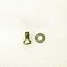 Polaris PWC OEM Timing Screw