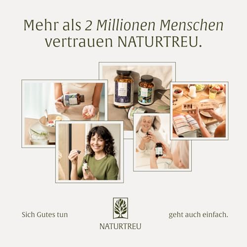 Quercetin Bromelain Komplex 120 Kapseln Vegan - 500mg Quercetin hochdosiert, 100mg Bromelain und 16mg Vitamin C pro Tagesdosis - Blütezeit von Naturtreu
