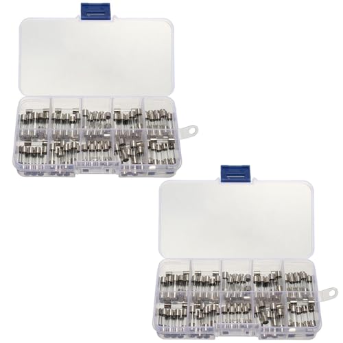 200 Pieces of Fuse, Quick Fuse of Glass Fuse, Glass Fuse Set, Electronic Components.