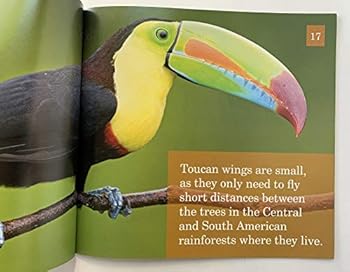 Paperback Going to the Rainforest Book