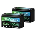 Dyness 12V 100Ah LiFePO4 Lithium Battery (2 Pack) BCI Group 31 with Low-Temp Protection, A+ Grade Cell Built-in 100A BMS, 12 Volt Lithium Battery Perfect for RV, Solar System, Off-Grid, Home Energy