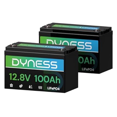 Dyness 12V 100Ah LiFePO4 Lithium Battery (2 Pack) BCI Group 31 with Low-Temp Protection, A+ Grade Cell Built-in 100A BMS, 12 Volt Lithium Battery Perfect for RV, Solar System, Off-Grid, Home Energy