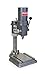 Bench Drill Press, Belt, 9-5/8", 1/4HP, 120V
