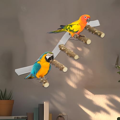 Poleiro de pássaro, poleiro de papagaio,Playstand para Cockatiel - Pedra de pó da xícara para econom
