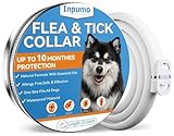 Inpumo Collare Antiparassitario per Cani, Antiparassitario Cani, Olio Essenziale Naturale 10 Mesi di Protezione Impermeabile Regolabile per Cani di Taglia Piccola Media e Grande 65CM (1 confezione)