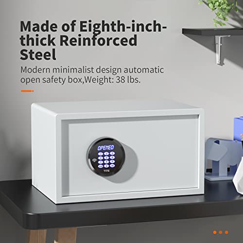 Tms Heavy Solid Rfid Hotel Laptop Safe 37Lbs, With Jewelry Box, Security Safe With Inner Led Light,Suit For Wardrobe,Bedroom,Home,Office,Hotel, Handgun #TOP3