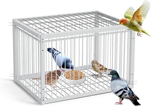 Bird Trap Upgraded Sparrow Trap