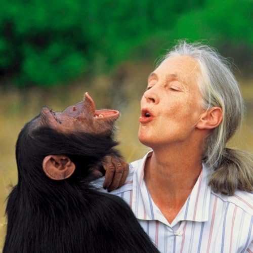 La Luciérnaga 08-10-25. El legado de Jane Goodall
