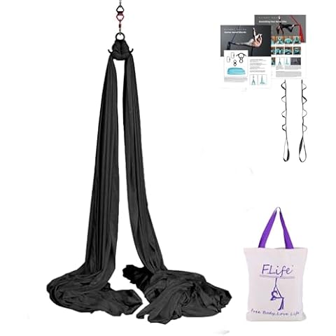 F.Life Aerial Silk Yoga Hammock Strater Kit -10 Yards For Flying Yoga (Black) Cover