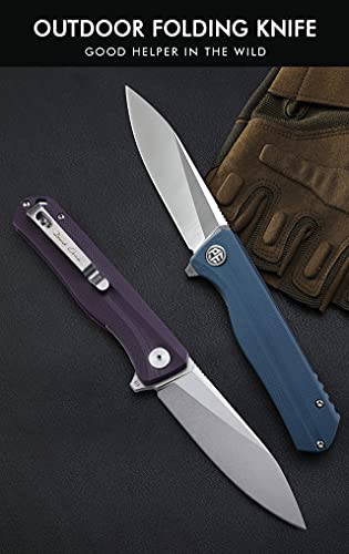 Image of Petrified fish PF818 3.54 inch D2 Steel Blade Pocket Folding Knife