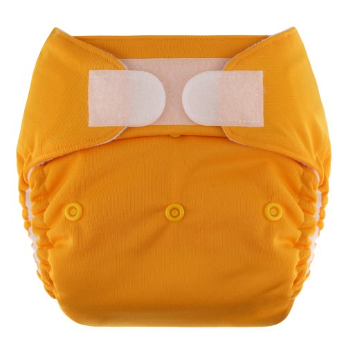 Swaddlebees Hook/Loop Econappi, Amber Cloth Baby Diapers