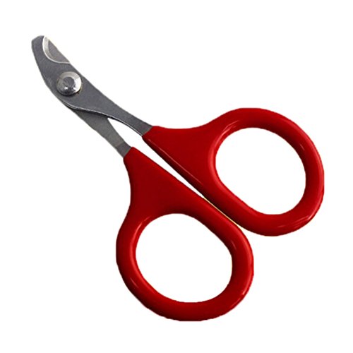 25 Best Rabbit Nail Clippers in 2020 (Detailed Reviews)