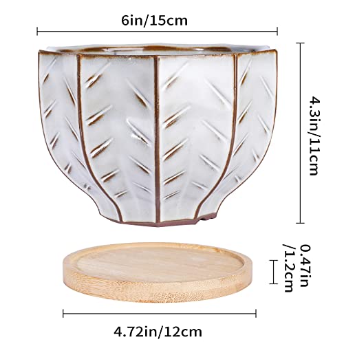 Fivepot Ceramic Flower Pots Plant Pot Indoor Succulent Planter Pot With Drainage Hole And Bamboo Tray, Bronze And White #TOP4