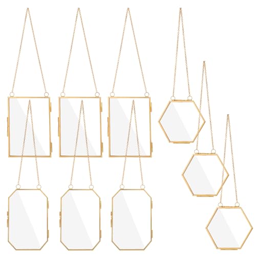 AHQiZFX 6 Pcs Pressed Flower Frames, Double Glass Hanging Picture