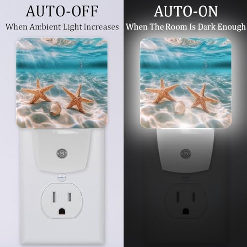 Image of NEWzone Ocean Seashells Starfishjpg Night Light Set of 2, Auto Sensor LED Dusk-to-Dawn Nightlights, Plug-in Sensor Lamp for Bedroom Bathroom Kitchen Hallway Stairs Decorative