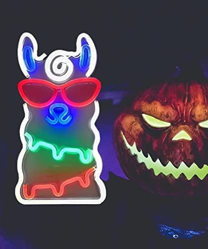 BYOSEKA Acrylic Neon Sign, Multicolor Decorative Wall Art, USB Powered Fruit Sign, 15.7 inches * 8.7 inches, Modern Style, for Office, Bedroom, Party Decoration