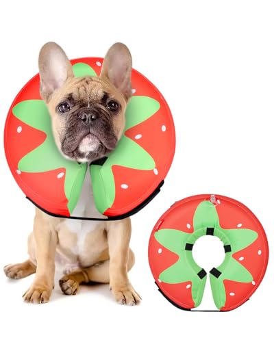 Image of MIDOG Inflatable Dog Cone, Donut Recovery Collar After Surgery, Medium+