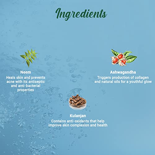 Image of Biotique Fresh Neem Pimple Control Face Wash| Ayurvedic and Organically Pure| Prevents Pimples |100% Botanical Extracts| Suitable for All Skin Types | 150mL