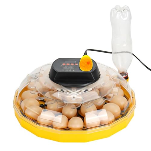 IEUDNS Chocadeira de ovos, chocadeira de aves, leve, ferramenta de chocagem, janela transparente, ch