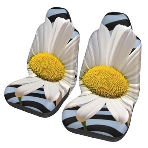 Sièges auto tachés ? Housses de voiture marguerites imperméables pour SUV et berlines