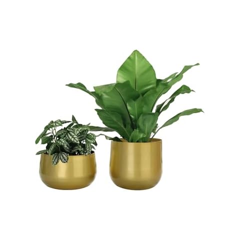 Vixdonos Gold Metal Flower Pots, Pack 2 Cover