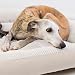 4L Textil Teo Kuscheliges Hundebett Bezug abnehmbar und waschbar Hundekorb mittelgroße Hunde Hundekissen flauschig Hundekörbchen Hundesofa(100x80 cm, Beige)