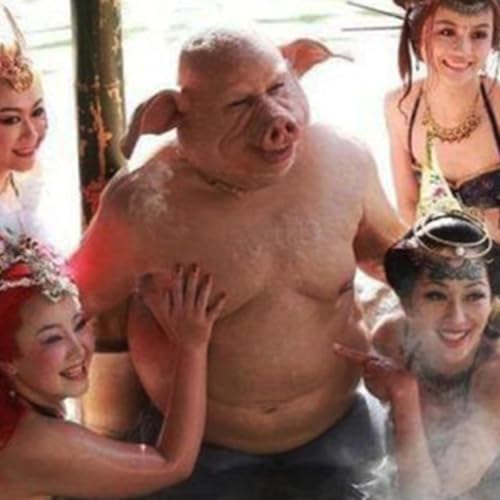 Page de couverture de Hibridos Humano-Animal