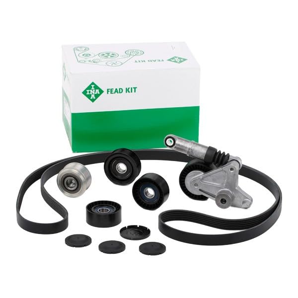 Kit courroie INA 529 0079 10 de qualité supérieure pour Audi A5