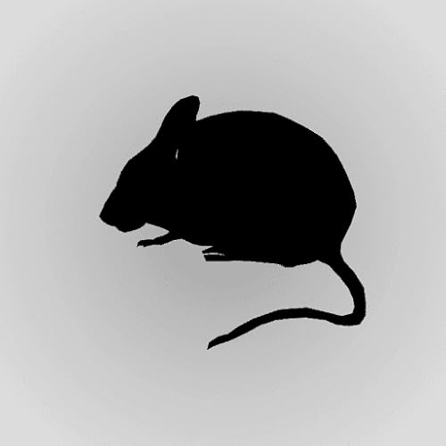 Sonidos divertidos | Mouse Sounds