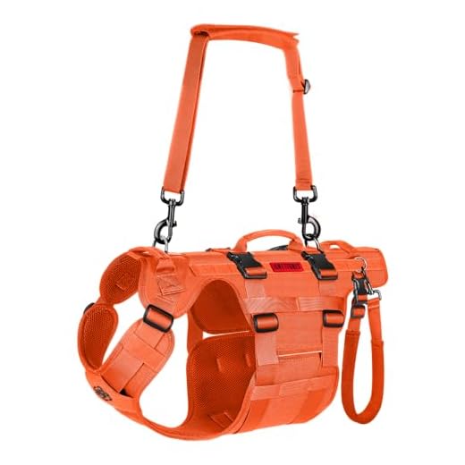OneTigris Dog Support Sling for Back Legs