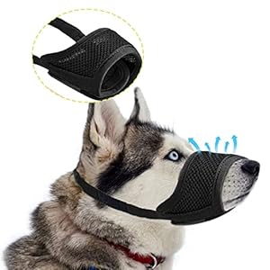 PQLQ Maulkorb für Hunde Größe L