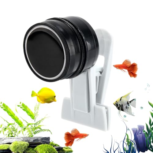 Alimentador magnético para peces – Soporte de clip para algas marinas, herramienta de alimentación para acuario, dispensador automático compacto de alimentos para tortugas de coral y camarones marinos