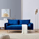 Velvet Couch with 2 Small Pillows, Modern Loveseat Sofa Twin Size Contemporary Sofas for Living Room...