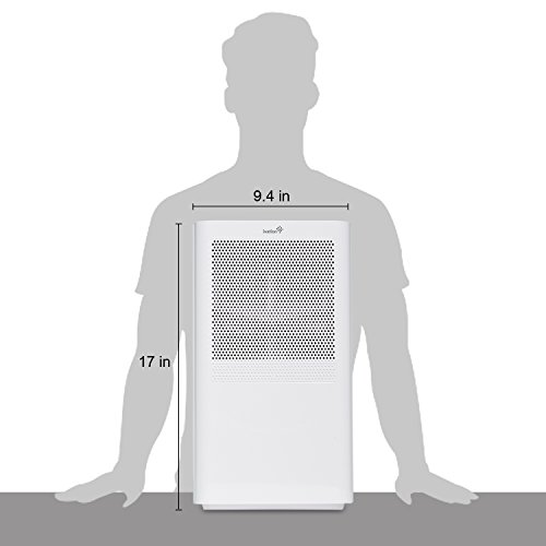 Ivation Small-Area Compact Dehumidifier With Continuous Drain Hose For Smaller Spaces, Attic And Closets- Thermo-Electric Technology, Small In Size, Quiet Operation - Removes 70Oz Of Water Per Day #TOP4