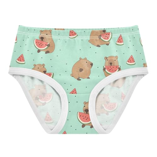 Wusikd Cute Capybara Girls' Underwear Cotton Watermelon Girls Briefs Soft Toddler Underwear 2T