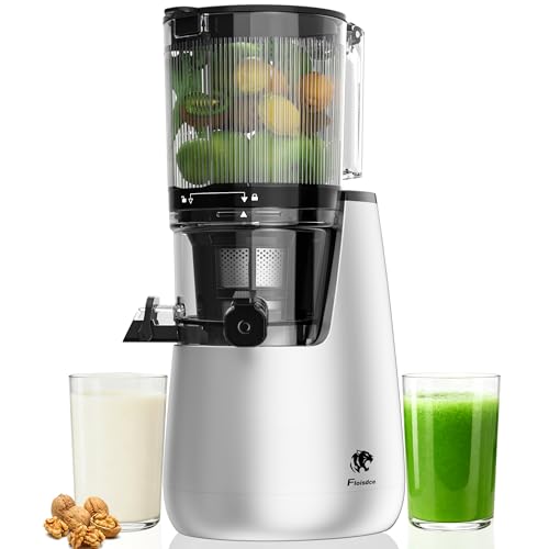 B11 Cold Press Juicer, 6