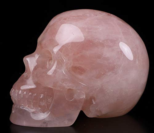 Calavera de Cuarzo Rosa Tallada 2.0" Escultura de Arte miniatura 5