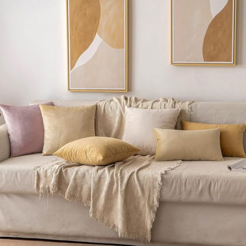 Image of 5 Piece Holland Velvet Cushion Cover, 24x24 inch, Beige | Soft Solid Decorative Throw Square Pillow Cases Modern Luxury Home Decor for Couch Sofa Bedroom Livingroom