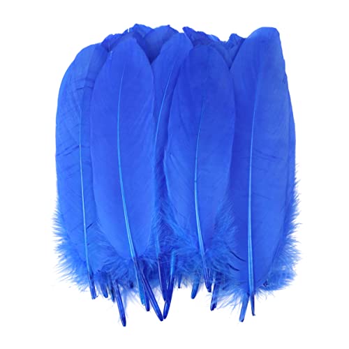 jweemax 100PCS Natural Goose Feater, Colorful Swan Feather for Wedding Party Decoration Handicraft Accessories