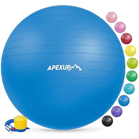 APEXUP Yoga Ball Exercise Ball, Anti Slip Stability Ball Chair, Heavy Duty Large Gym Ball for Fitness, Balance, Core Workout and Physical Therapy (XL (27"~30") 75cm, Blue) Cover