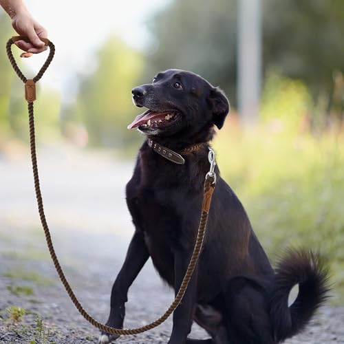 Mile High Life Dog Leash, Braided Cotton Rope Leashes with Leather Handle - Heavy Duty Metal Clasp, 5FT, 1/2" Thick - Wedding, Walking & Training Leash for Medium Large Dogs (Dark Brown) by Mile High Life - Image 6