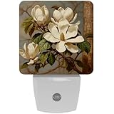 NEWzone Magnolias Flower Night Light Plug into Wall Decor 2 Pack, Decorative Night Light for Kids, Plug in Night Lights for Bedroom Living Room, Gift for Kids Adults