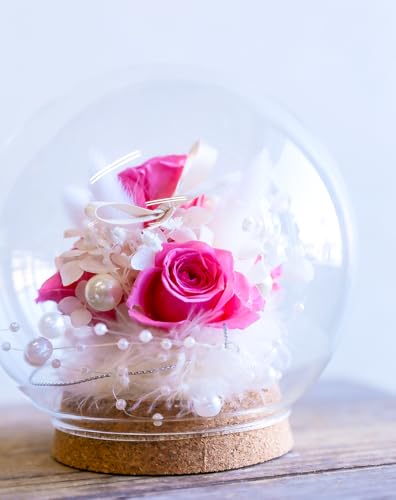 t[Xg vU[uht[ ͂Ȃ [YVV b܎܃fUCi[ďC t[Mtg o v[g Mtg aj LO v[g ̓ lC w   (vZXsN, M)