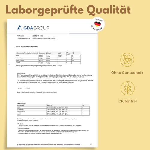 Vitamin B2 hochdosiert - 365 Tabletten - 250 mg Riboflavin, vegan & produziert in Deutschland - Laborgeprüft - Verpackung kann variieren