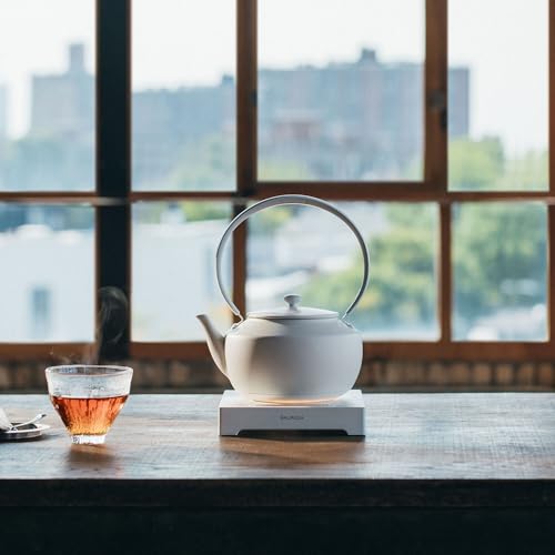 Hervidor eléctrico BALMUDA MoonKettle 900 ml blanco miniatura 4